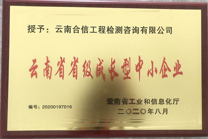 喜訊！國檢集團•云南合信公司又獲一榮譽